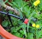 Kattintson a k�pre