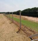 Kattintson a k�pre