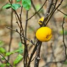 Kattintson a k�pre